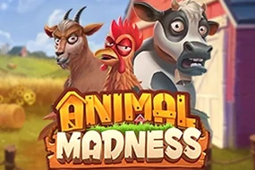 Animal Madness
