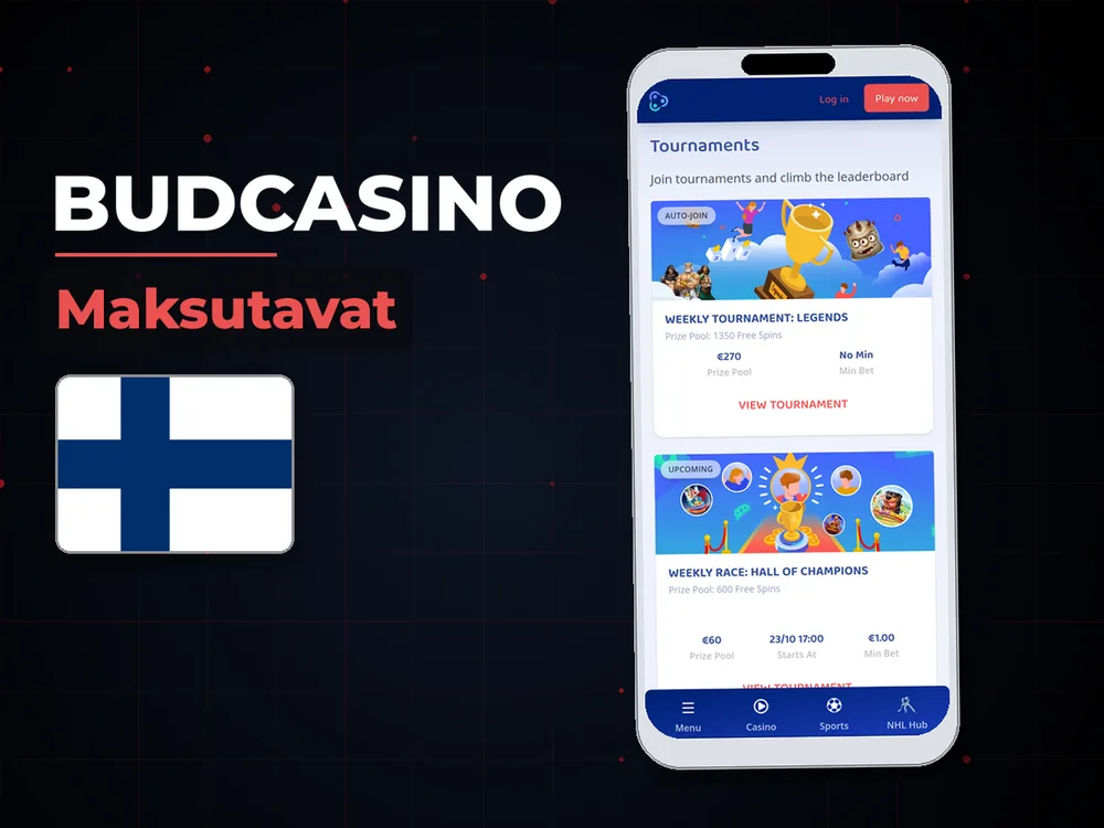 Budcasino - Maksutavat